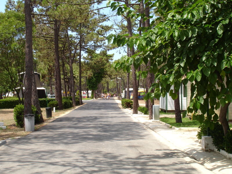 Parque De Campismo Orbitur Gala Hotel Figueira da Foz Buitenkant foto