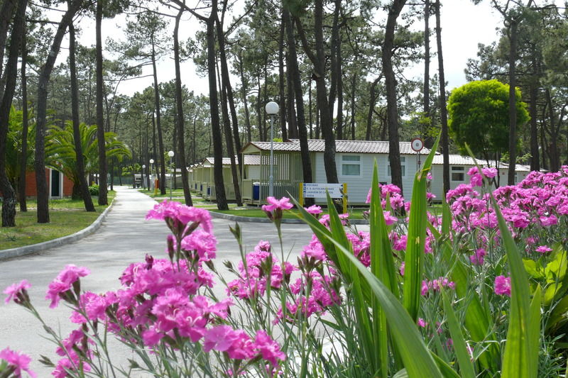 Parque De Campismo Orbitur Gala Hotel Figueira da Foz Buitenkant foto